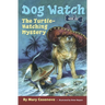 The Turtle-Hatching Mystery