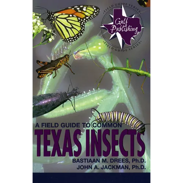A Field Guide to Common Texas Insects