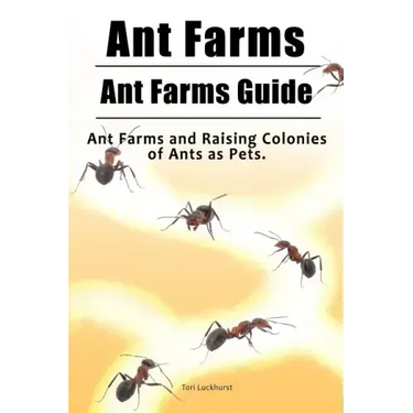 Ant Farms. Ant Farms Guide. Ant Farms and Raising Colonies of Ants as Pets.