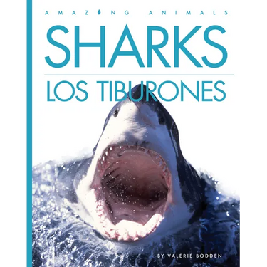 Sharks / Los Tiburones: Bilingual Edition