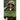 The Vietnam War: A History Just for Kids!