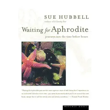 Waiting for Aphrodite: Journeys Into the Time Before Bones