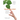 The Biophilia Effect: A Scientific and Spiritual Exploration of the Healing Bond Between Humans and Nature