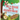 Silly Goose and The Avocado Moose: A Wonderful Adventure