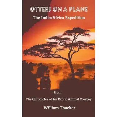Otters On A Plane - The India/Africa Expedition
