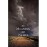 The Meaning of Names