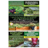 Ultimate Guide to Companion Gardening for Beginners & Ultimate Guide to Greenhouse Gardening for Beginners & Ultimate Guide to Raised Bed Gardening fo