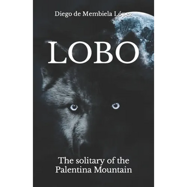 Lobo: The solitary of the Palentina Mountain
