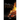 Poetry on Fire