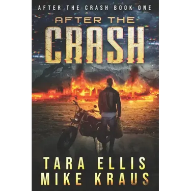 After the Crash: After the Crash Book 1