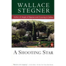 A Shooting Star