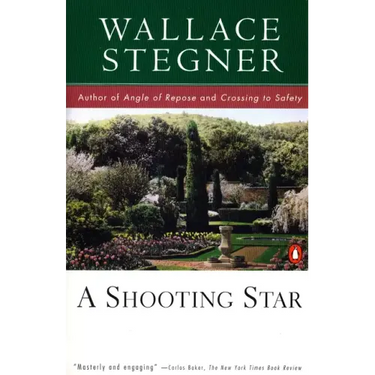 A Shooting Star