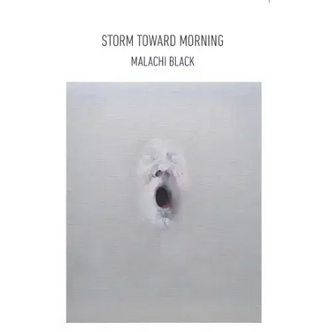 Storm Toward Morning