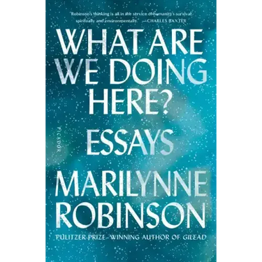 What Are We Doing Here?: Essays