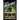In the Dream House: A Memoir