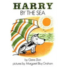 Harry by the Sea