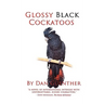 Glossy Black Cockatoos
