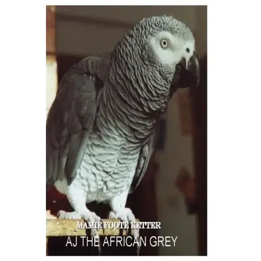 AJ The African Grey