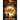 Ex Terra Expeditions