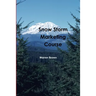 Snow Storm Marketing Course