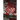 Delicious Zombie