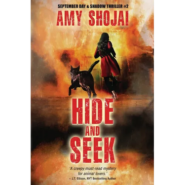 Hide And Seek