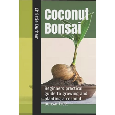 Coconut Bonsai: Beginners practical guide to growing and planting a coconut bonsai tree.