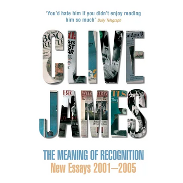 The Meaning of Recognition: New Essays 2001-2005