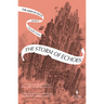 The Storm of Echoes: Book Four of the Mirror Visitor Quartet
