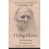 Flying Horse: Stories of Healing the Soul Wound