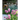 How to Photograph Gardens: Beautiful Images Made Simple