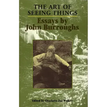 The Art of Seeing Things