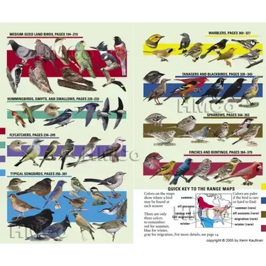 Kaufman Field Guide to Birds of North America
