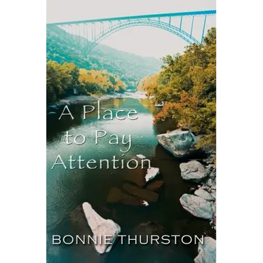 A Place to Pay Attention