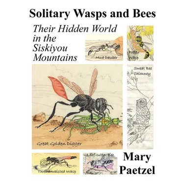 Solitary Wasps and Bees: Their Hidden World in the Siskiyou Mountains