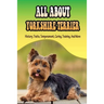 All About Yorkshire Terrier: History, Traits, Temperament, Caring, Training, And More: At What Age Can You Start Training A Yorkie Puppy?
