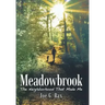 Meadowbrook: The Neighborhood That Made Me