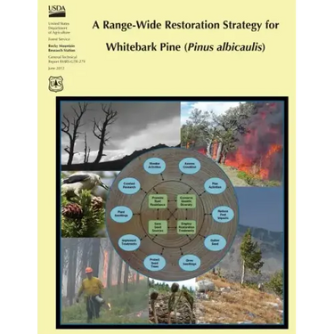 A Range-Wide Restoration Strategy for Whitebark Pine (Pinus Albicaulis)