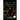Rise of the Ravenisha