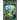 The Wishing Spell