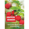 Growing Berries: How To Grow Organic Berries In Your Backyard: How To Start Growing Berries