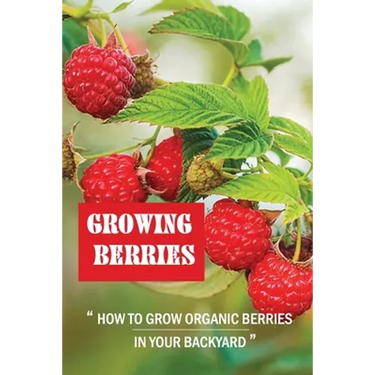 Growing Berries: How To Grow Organic Berries In Your Backyard: How To Start Growing Berries