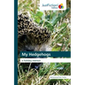 My Hedgehogs