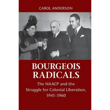 Bourgeois Radicals