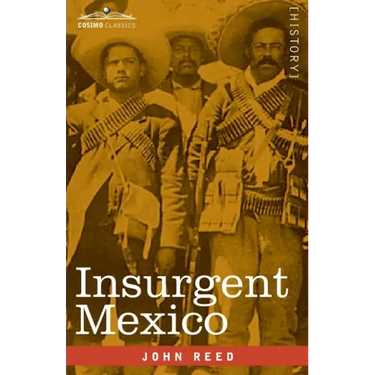 Insurgent Mexico