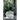 Dhamma in your pocket