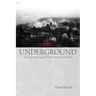Fire Underground: The Ongoing Tragedy Of The Centralia Mine Fire