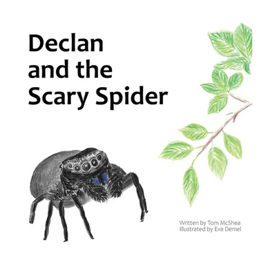 Declan and the Scary Spider