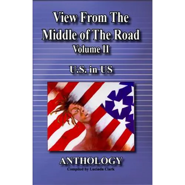 View from the middle of the road: U.S. in US