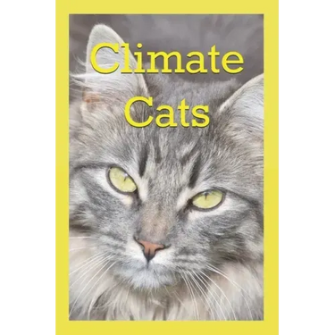 Climate Cats: A Kitten Adventure In The Bay of Fundy